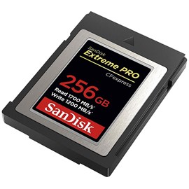 SanDisk SDCFE-256G-GN4IN Extreme PRO 256GB CFexpress Kart Type B 1700/1200MB/s