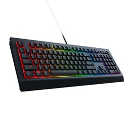 Razer Cynosa V2 RZ03-03401300-R3L1 Türkçe RGB Gaming Klavye