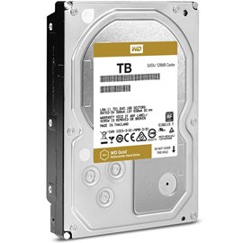 Western Digital WD6002FRYZ Gold Enterprise 6TB 128MB 7200Rpm Sata3 3.5 Disk