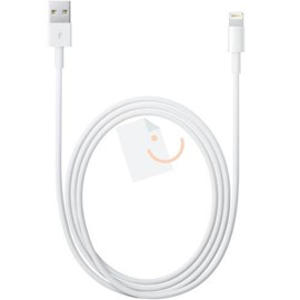 Apple MD819ZM/A Lightning to USB Kablo 2m
