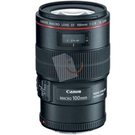 Canon EF 100mm f/2.8L Macro IS USM Lens