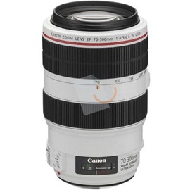 Canon EF 70-300mm f/4-5.6L IS USM Lens