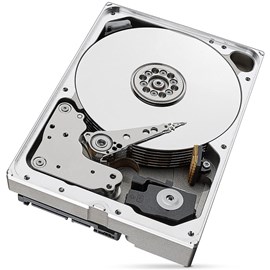 Seagate ST10000NE0004 IronWolf Pro 10TB 256MB 7200Rpm 3.5 Sata3 NAS 214MB/s