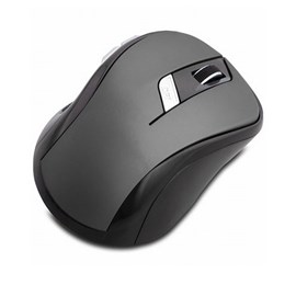 Everest SM-245D-G Gri Optik Nano Receive Kablosuz Mouse