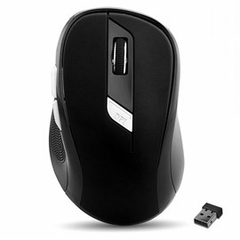 Everest SM-245D-S Siyah Optik Nano Receive Kablosuz Mouse