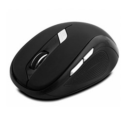 Everest SM-245D-S Siyah Optik Nano Receive Kablosuz Mouse