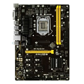 Biostar TB250-BTC PRO DDR4 12x PCI-E DVI Lga1151