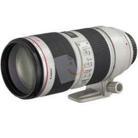 Canon EF 70-200mm f/2.8L USM Lens