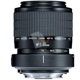 Canon MP-E 65mm f/2.8 1-5x Macro Photo Lens