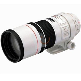 Canon EF 300mm f/4L IS USM Lens