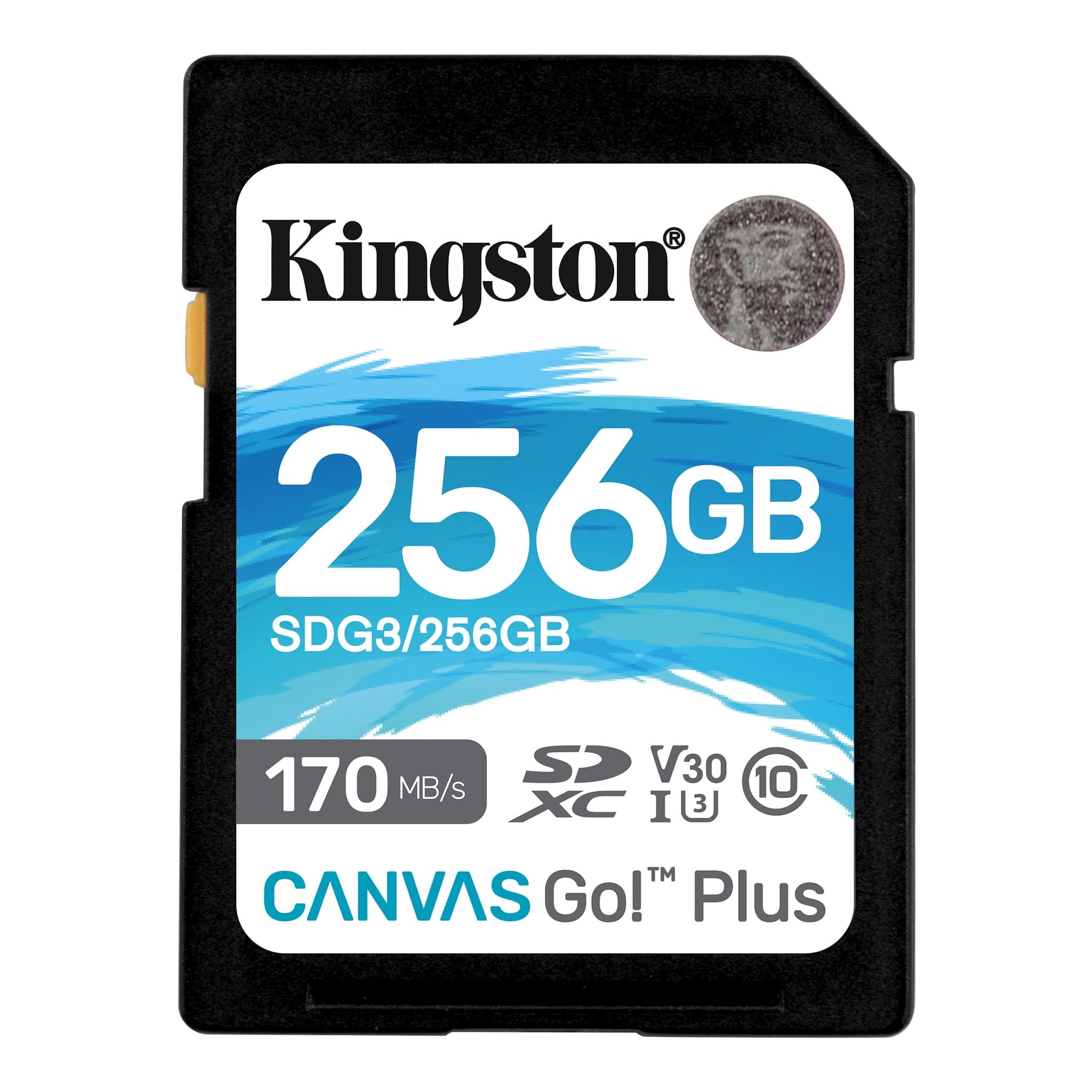 Kingston Canvas Go Plus SDG3/256GB SDXC UHS-I Class 10 Hafıza Kartı