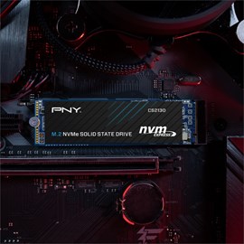 PNY CS2130 M280CS2130-500-RB 500GB 3500/925MB/s PCIe NVMe M.2 SSD Disk