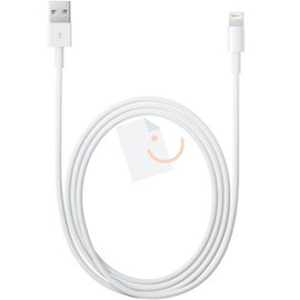 Apple MD819ZM/A Lightning to USB Kablo 2m