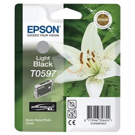 Epson C13T05974020 Açık Siyah Kartuş R2400